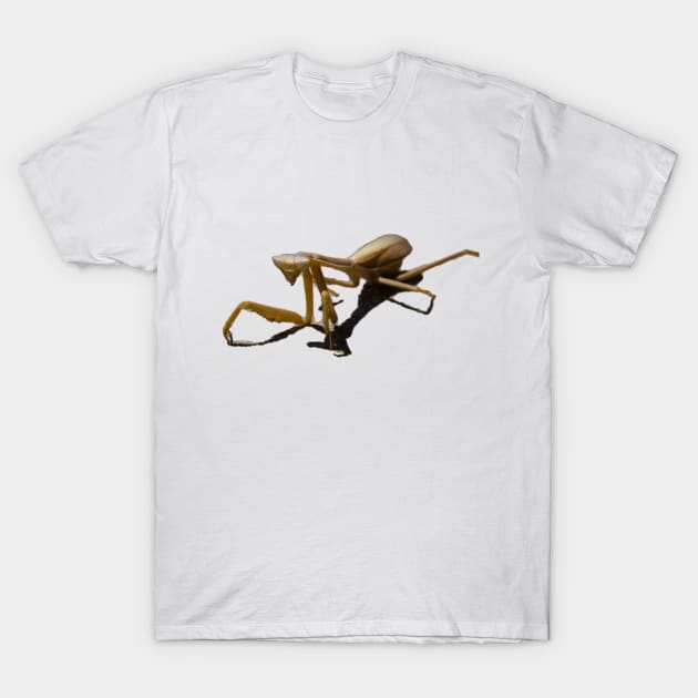 mantis T-Shirt by rickylabellevie